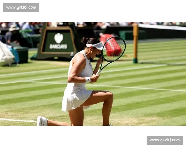 2025 世界 500 强网球赛南京站开赛 精英以球会友 2025 世界 500 强网球赛南京站开赛 精英以球会友