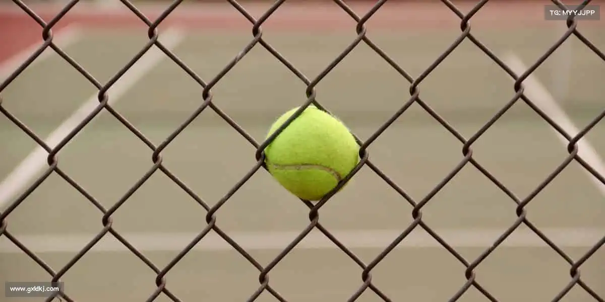 行业领先的理由